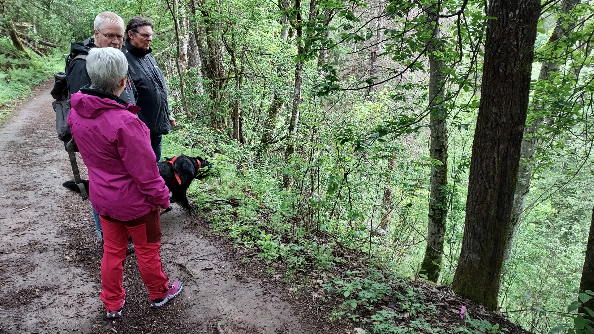 Fin og lærerik tur til ravinene